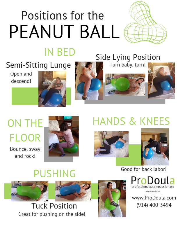 Peanut Ball Labor Positions