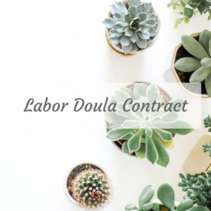 Birth doula contract